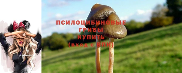 гидропоника Белоозёрский